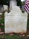 image of grave number 730242